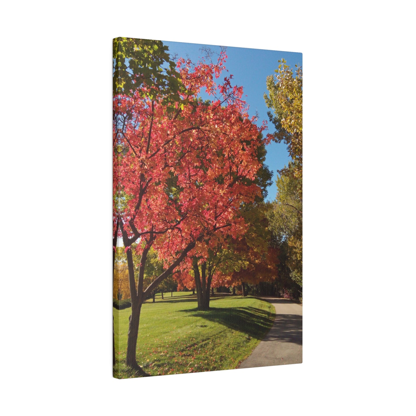 Autumn Glow Matte Canvas