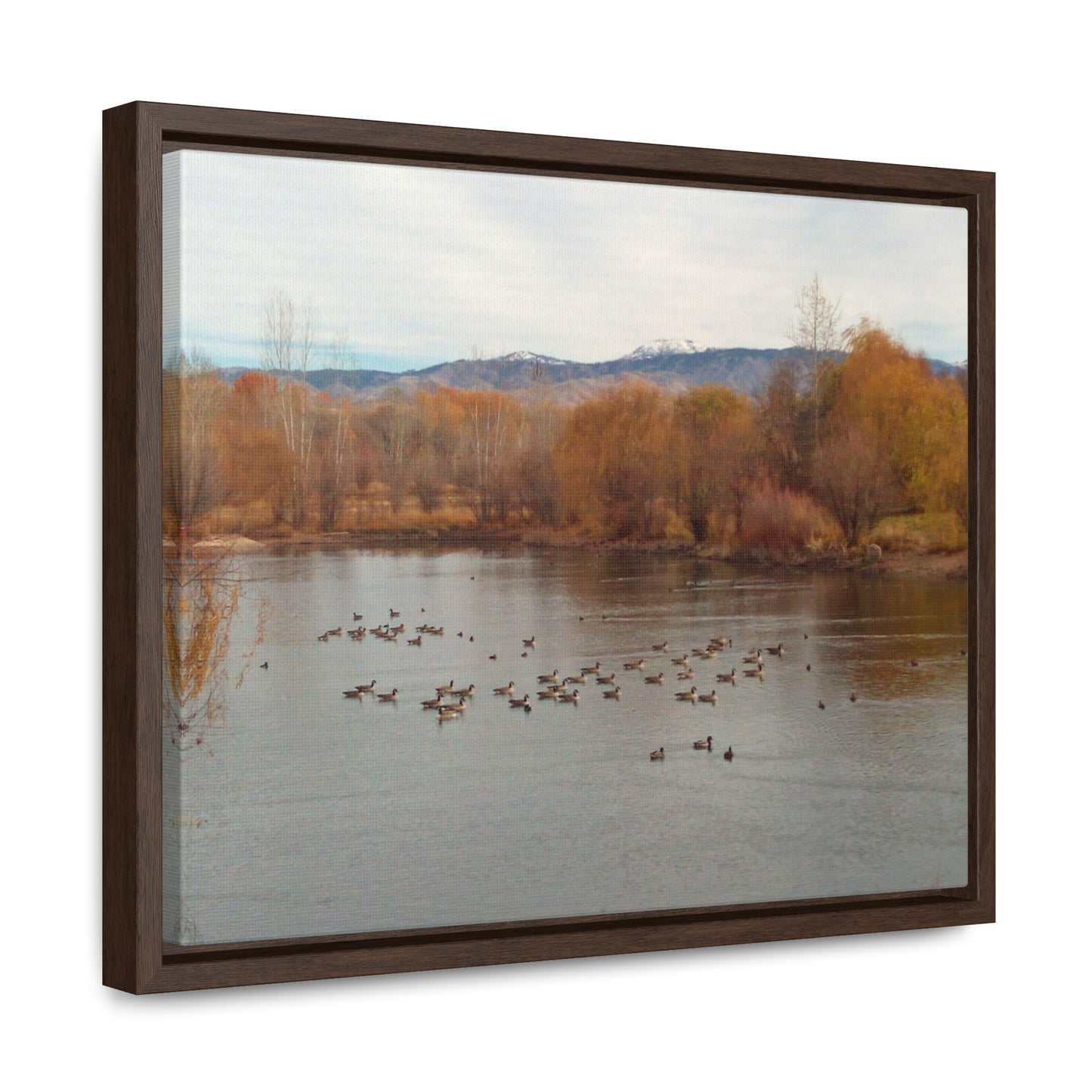 Autumn Pond with Geese Gallery Canvas Wraps Framed