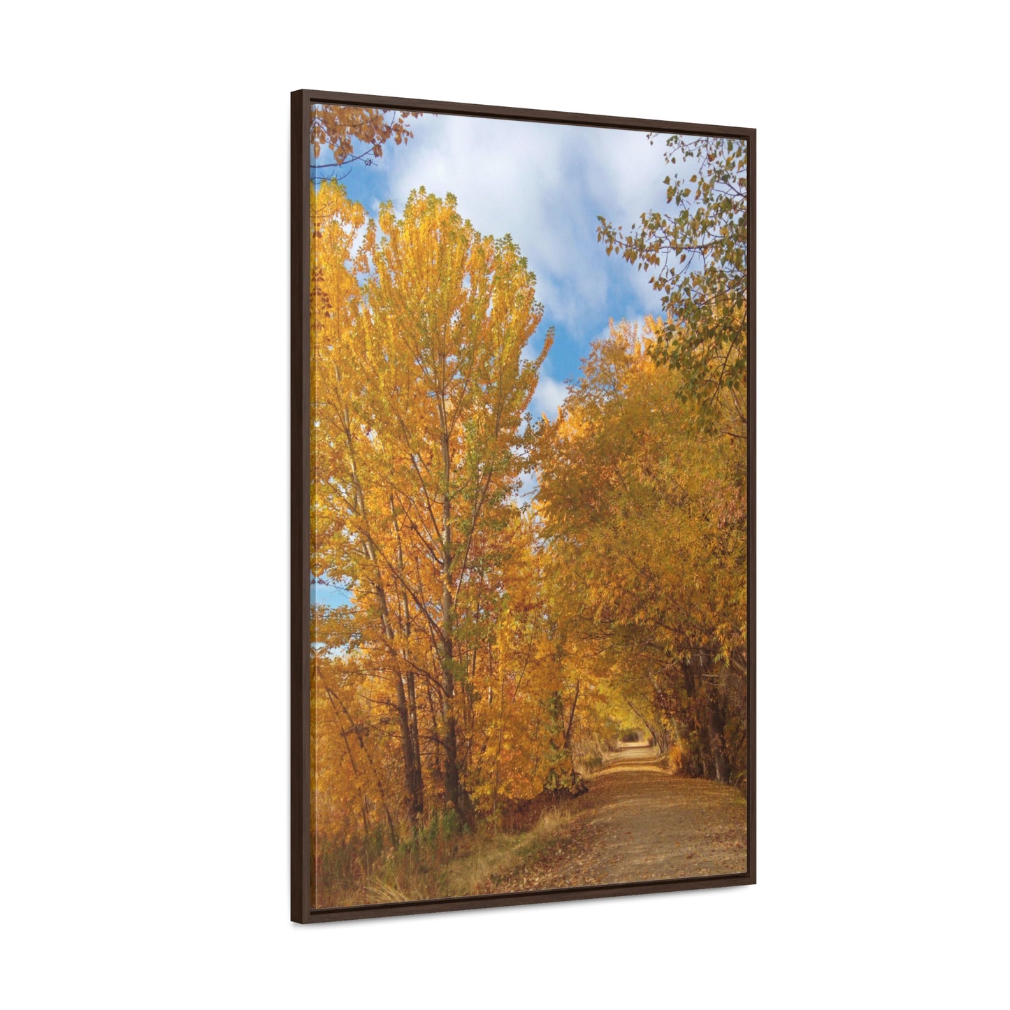 Autumn Trail Gallery Canvas Wraps Framed