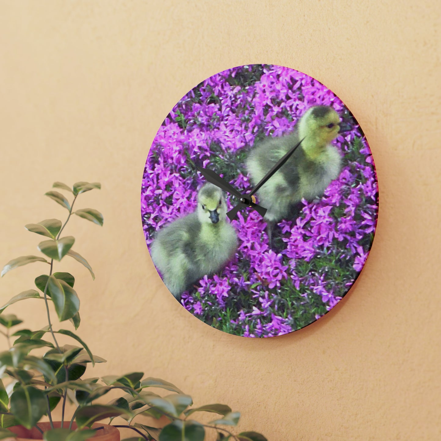 Precious Peeps Acrylic Wall Clock