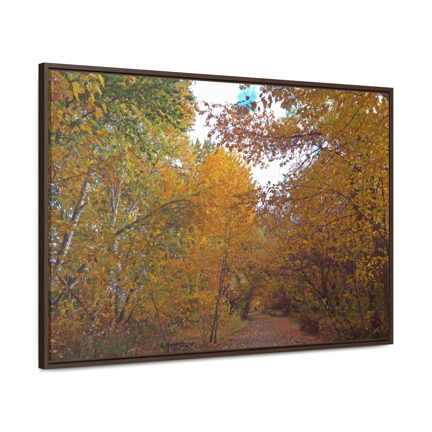 Autumn Lane Gallery Canvas Wraps Framed