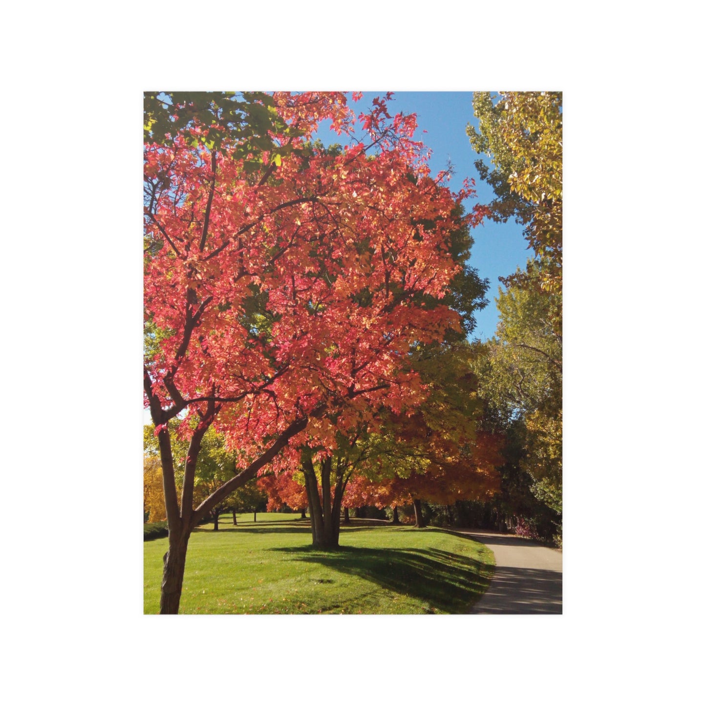 Autumn Glow Satin Posters