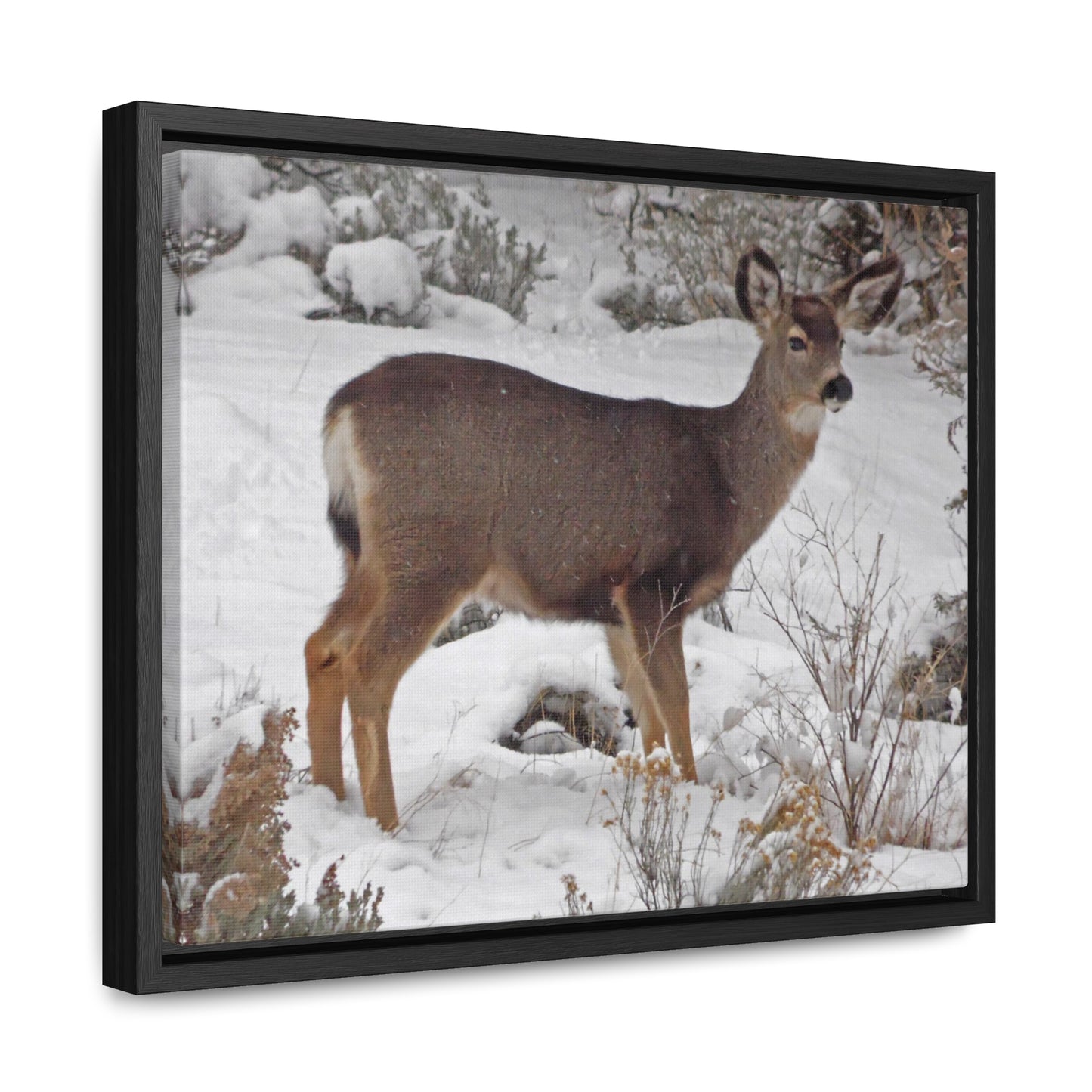 Snowy Deer Gallery Canvas Wraps Framed