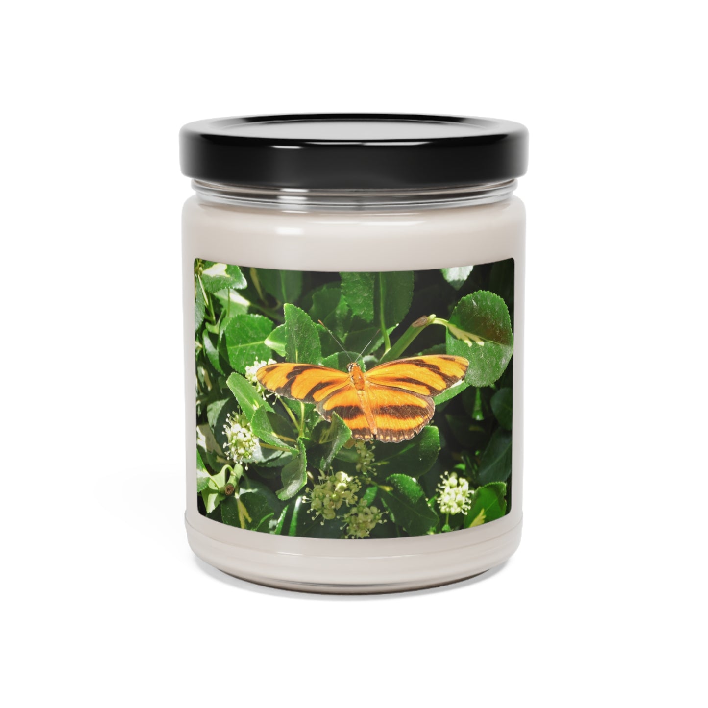 Golden Butterfly Scented Soy Candle, 9oz