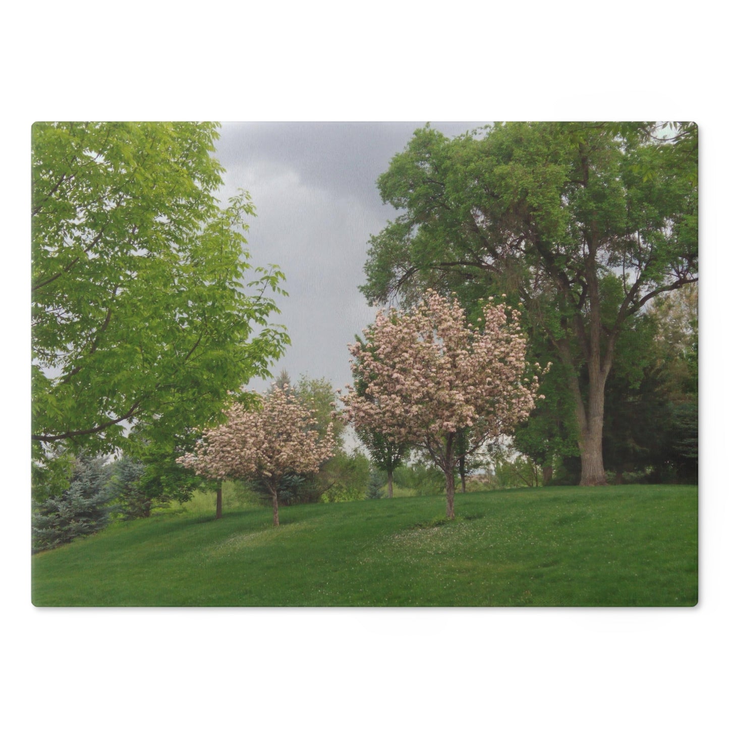 Spring In The Air Cutting Board Dishwasher Safe