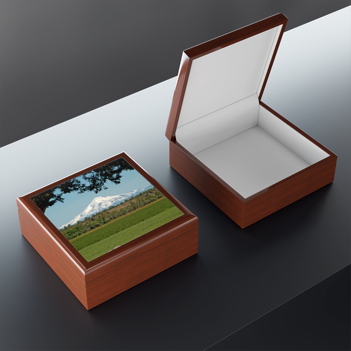 Juniper Framed Mountain Jewelry Box ~ 7.24"