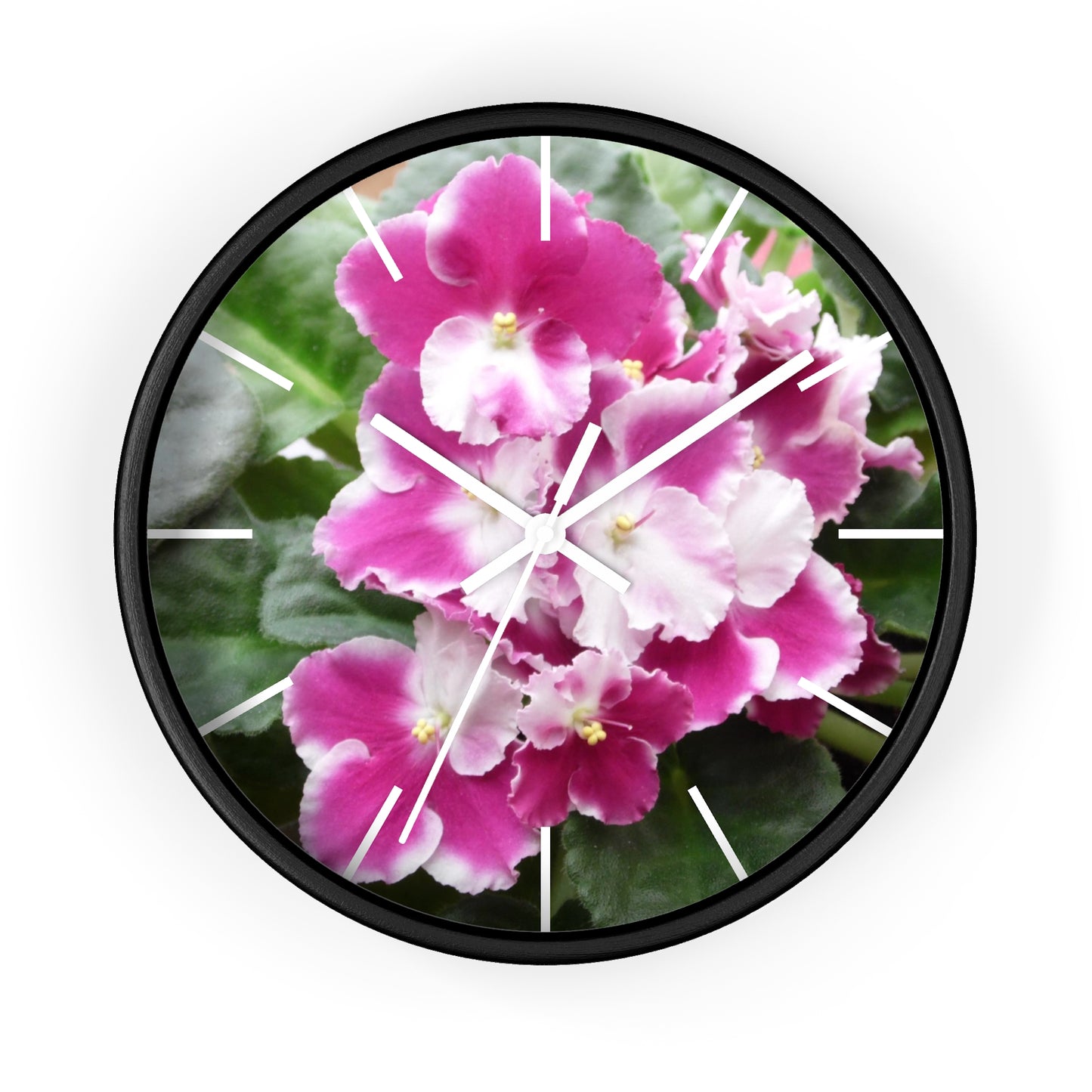 African Violet Framed Wall Clock