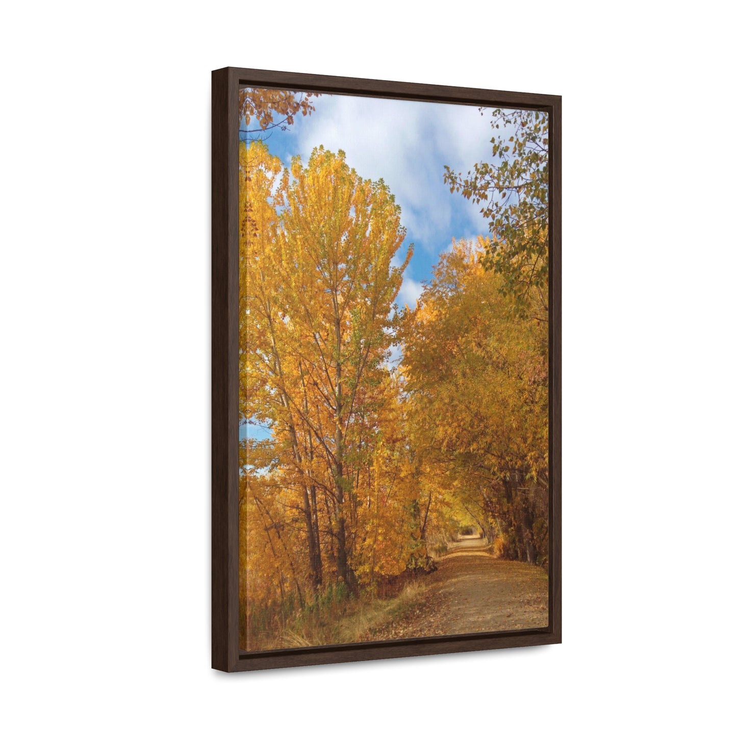 Autumn Trail Gallery Canvas Wraps Framed