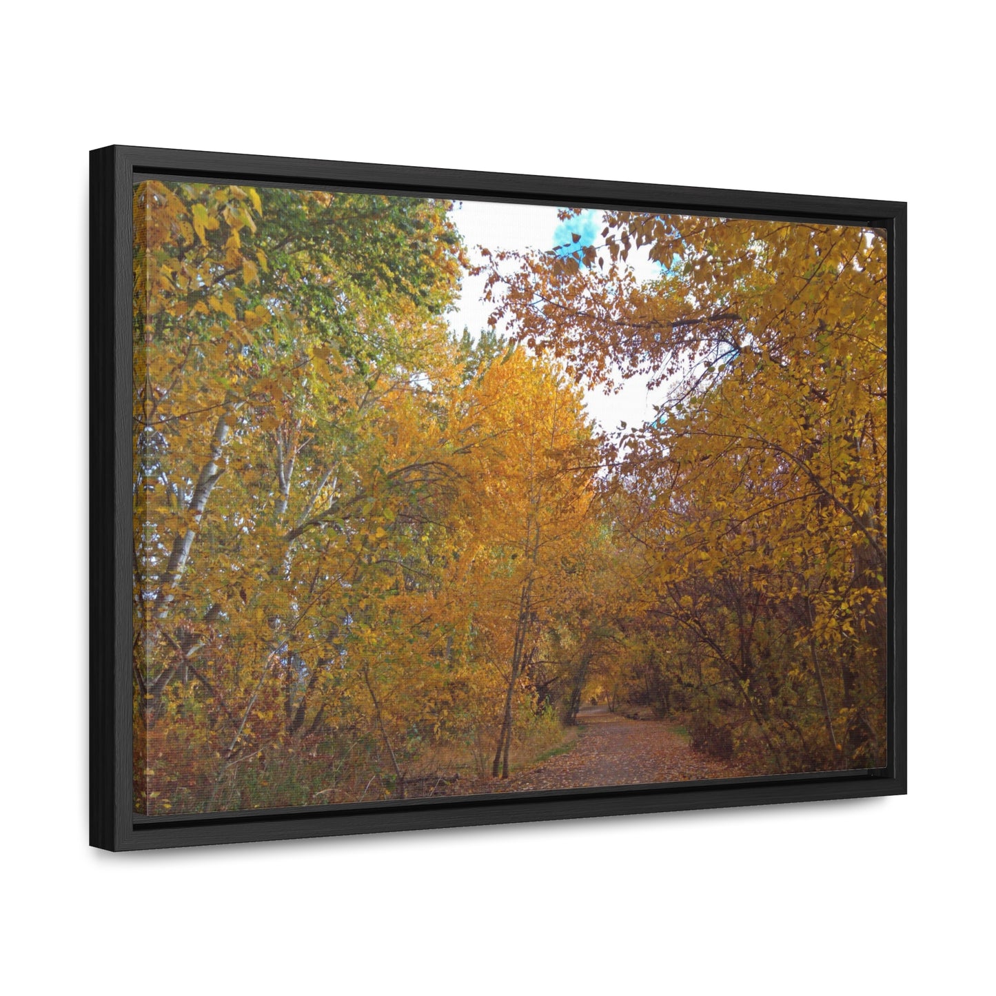 Autumn Lane Gallery Canvas Wraps Framed