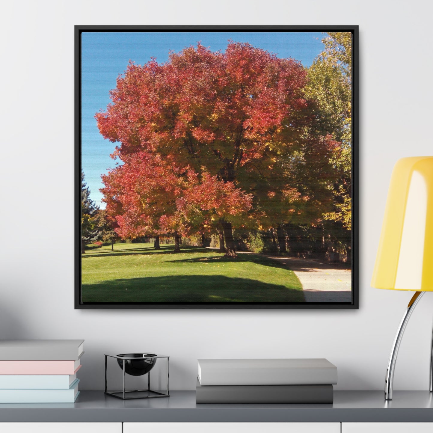 Autumn Tree Early Fall Gallery Canvas Wraps, Square Framed