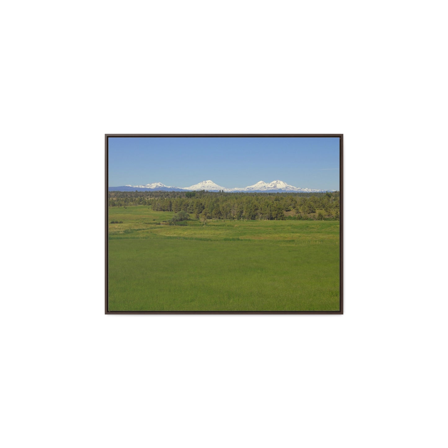 Mountain Meadow Gallery Canvas Wraps Framed