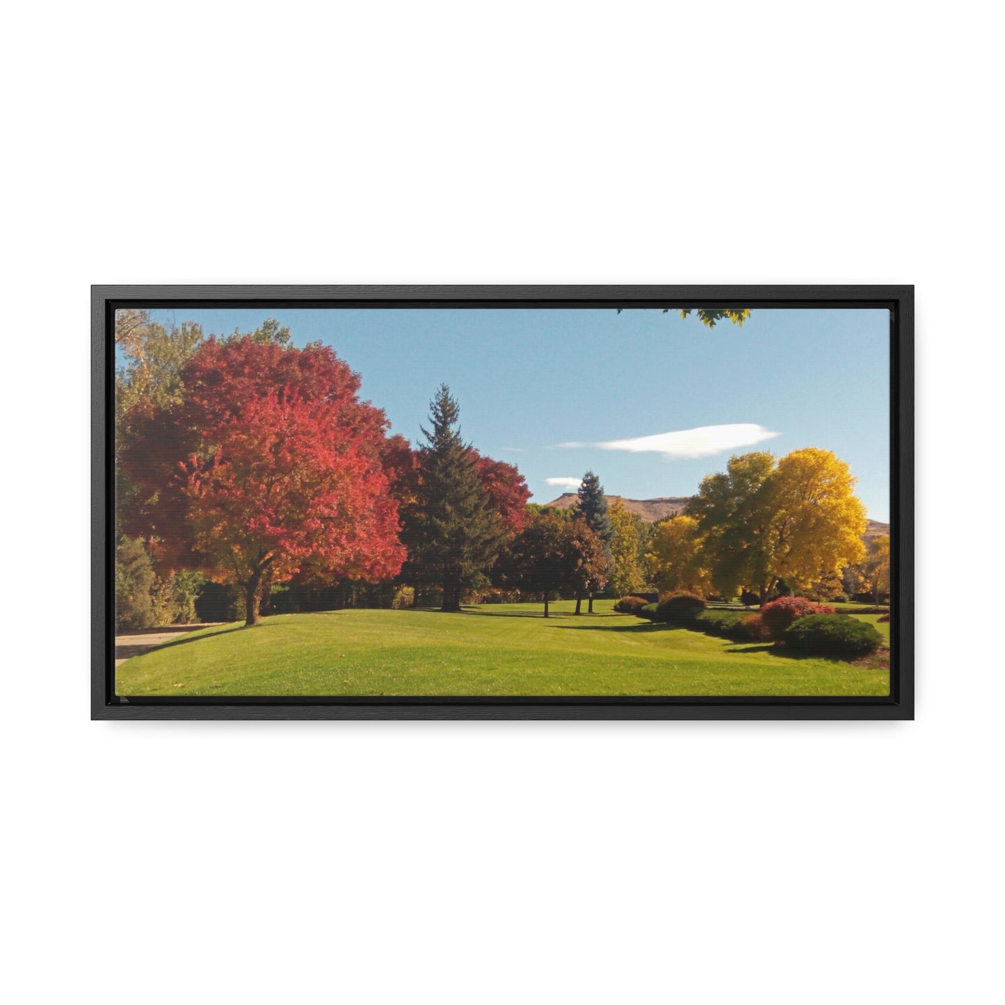 Autumn Lawn Gallery Canvas Wraps Framed