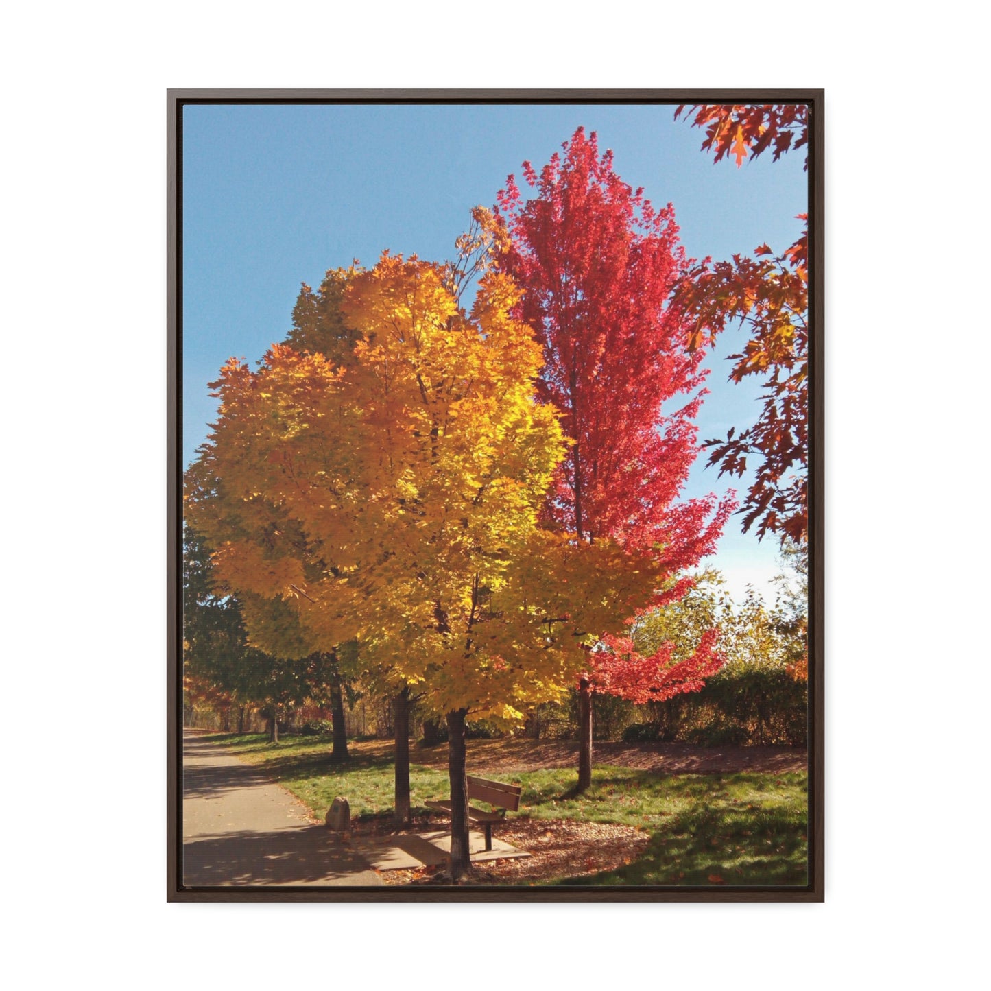 Autumn Bench Gallery Canvas Wraps Framed