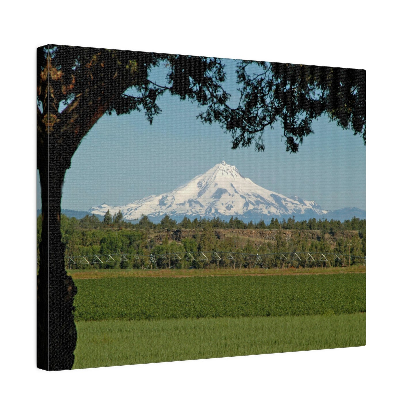 Juniper Framed Mountain Matte Canvas