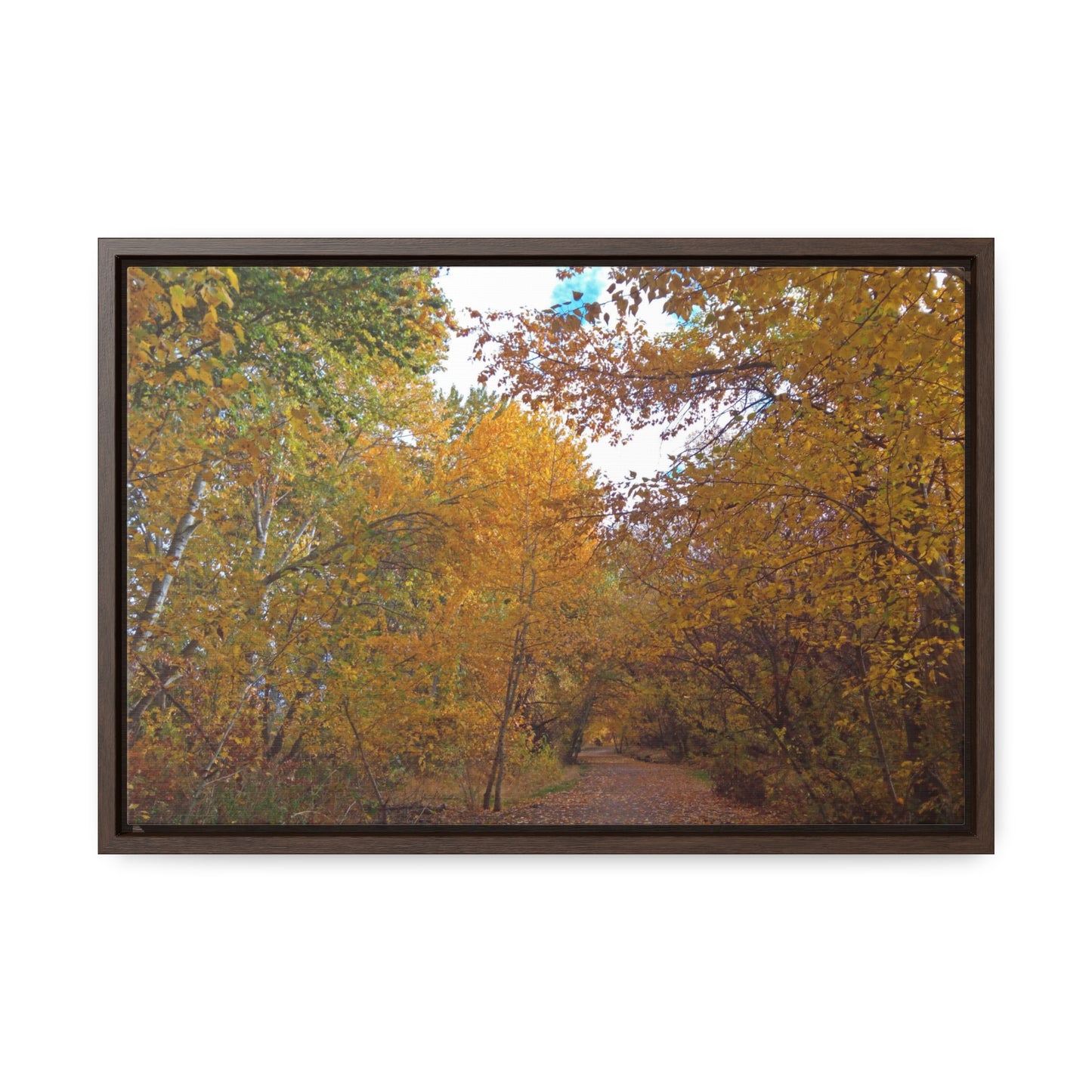Autumn Lane Gallery Canvas Wraps Framed