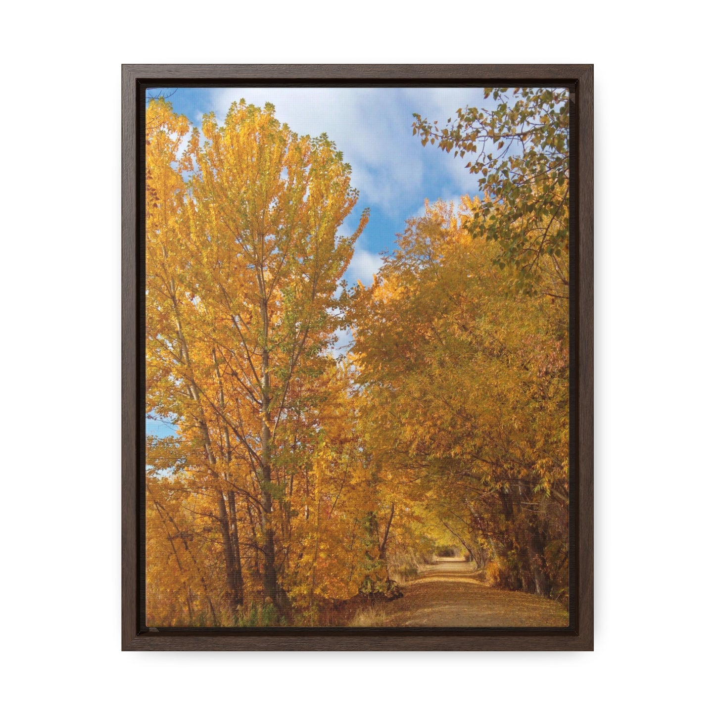 Autumn Trail Gallery Canvas Wraps Framed