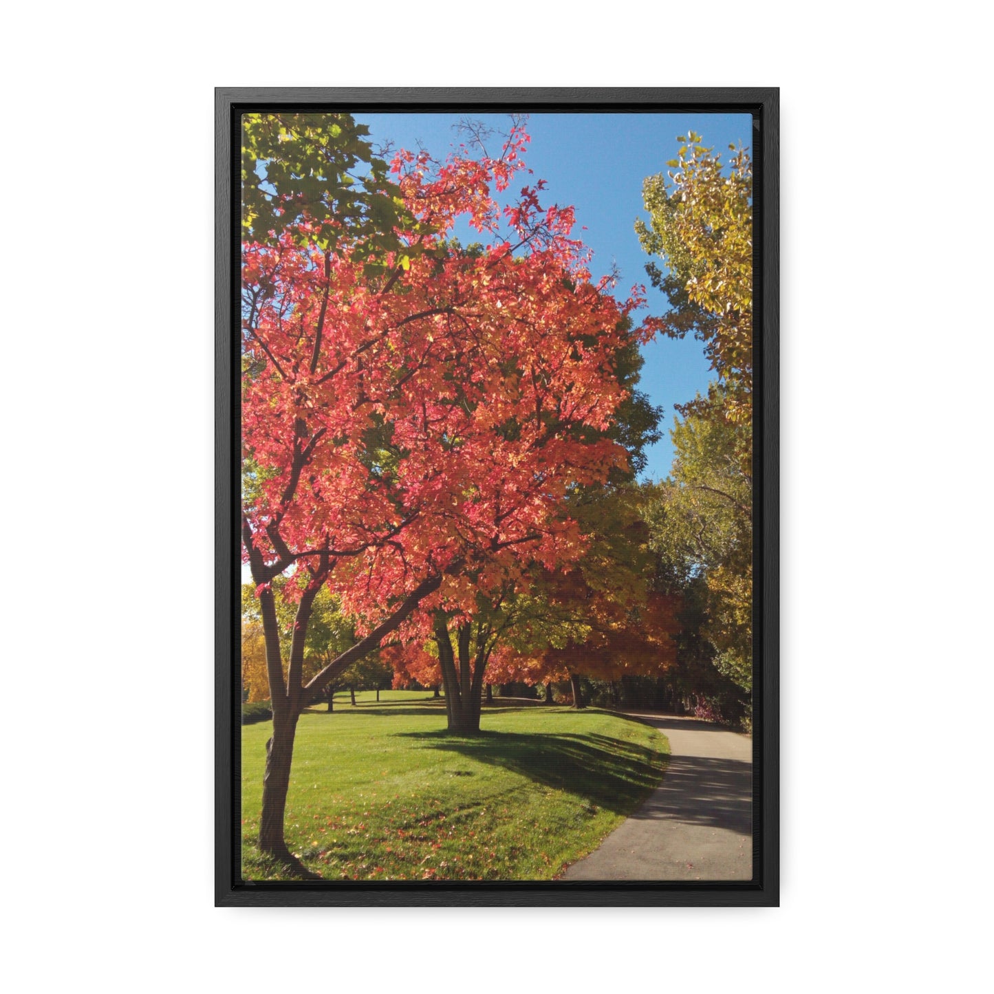 Autumn Glow Gallery Canvas Wraps Framed