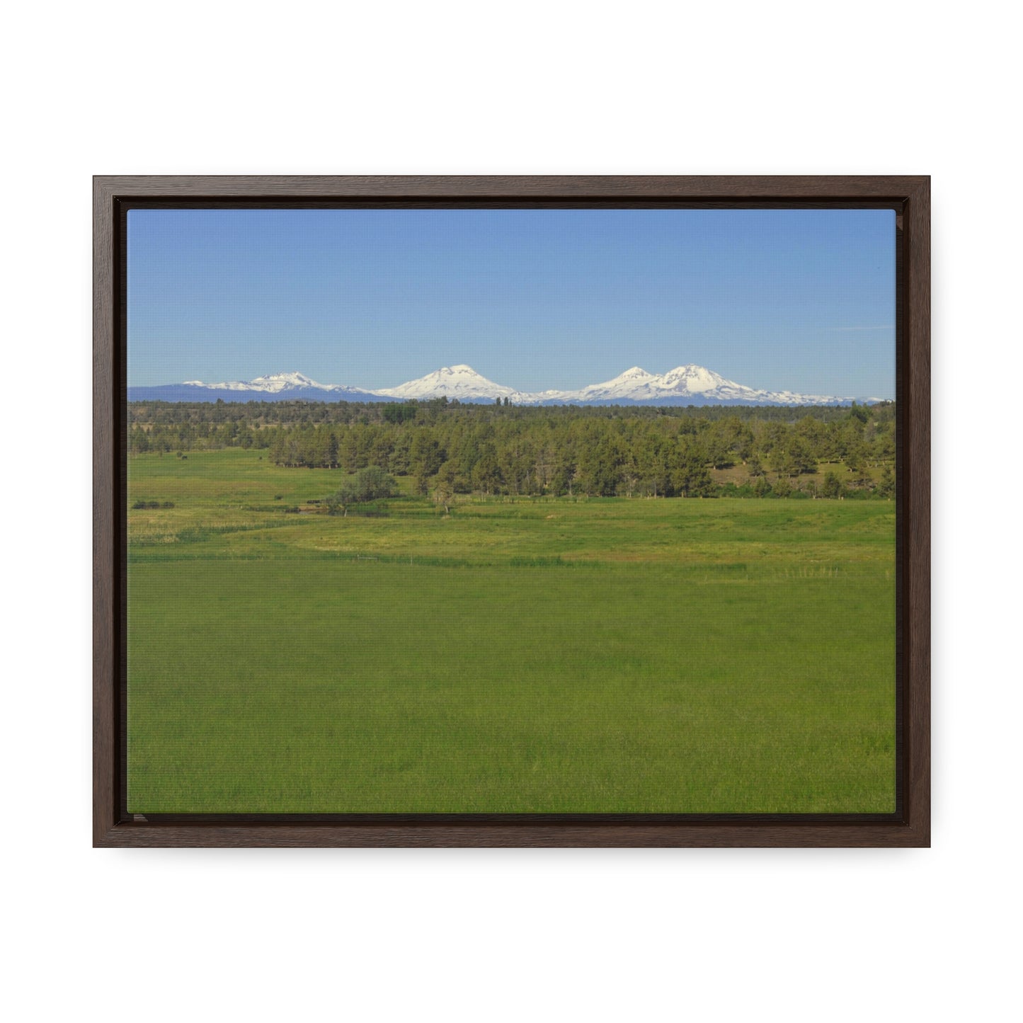 Mountain Meadow Gallery Canvas Wraps Framed