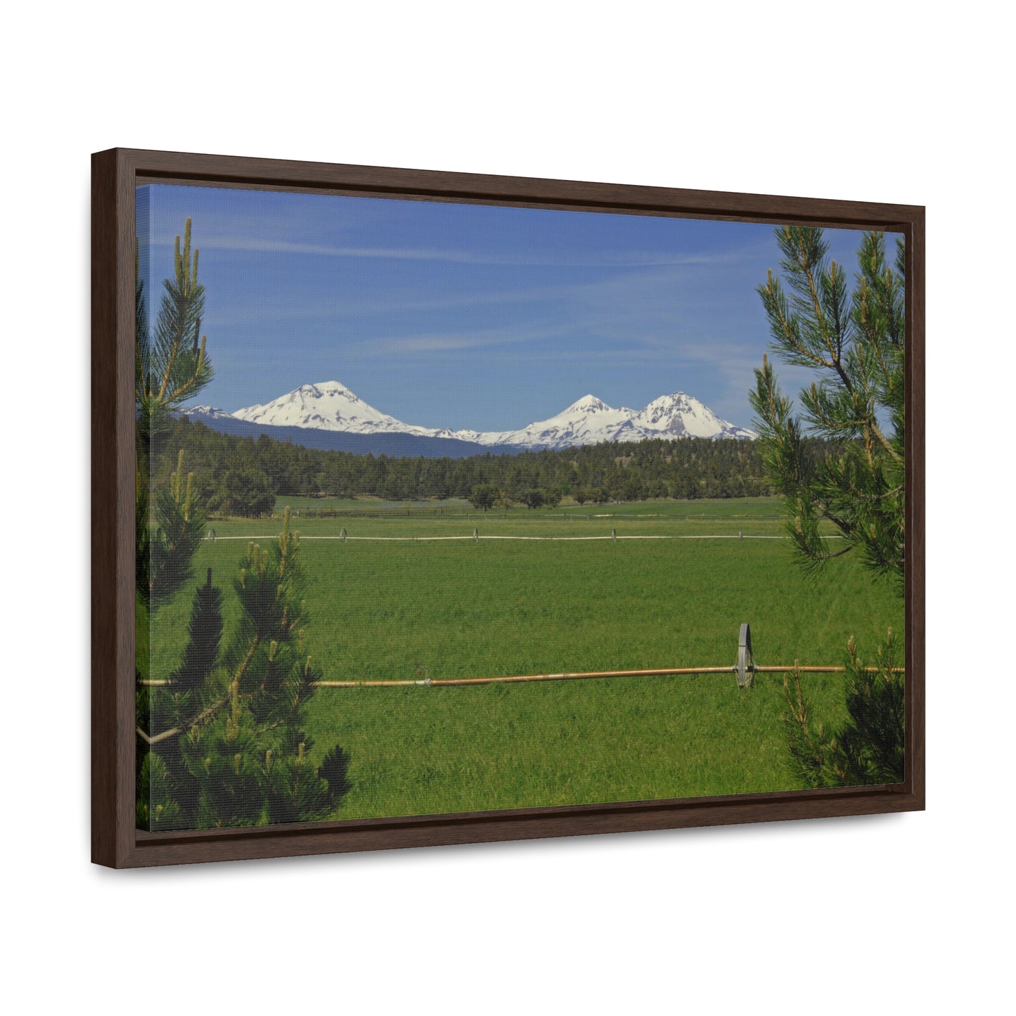 Mountain Pasture Gallery Canvas Wrap Framed