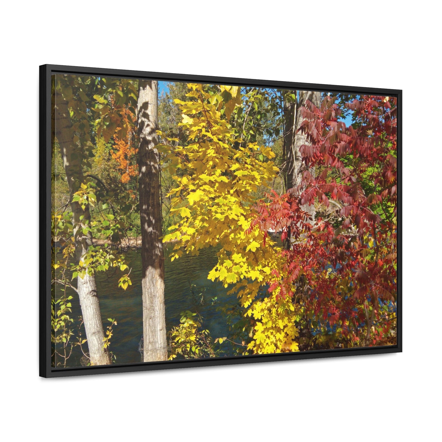 River & Autumn Leaves Gallery Canvas Wraps Framed