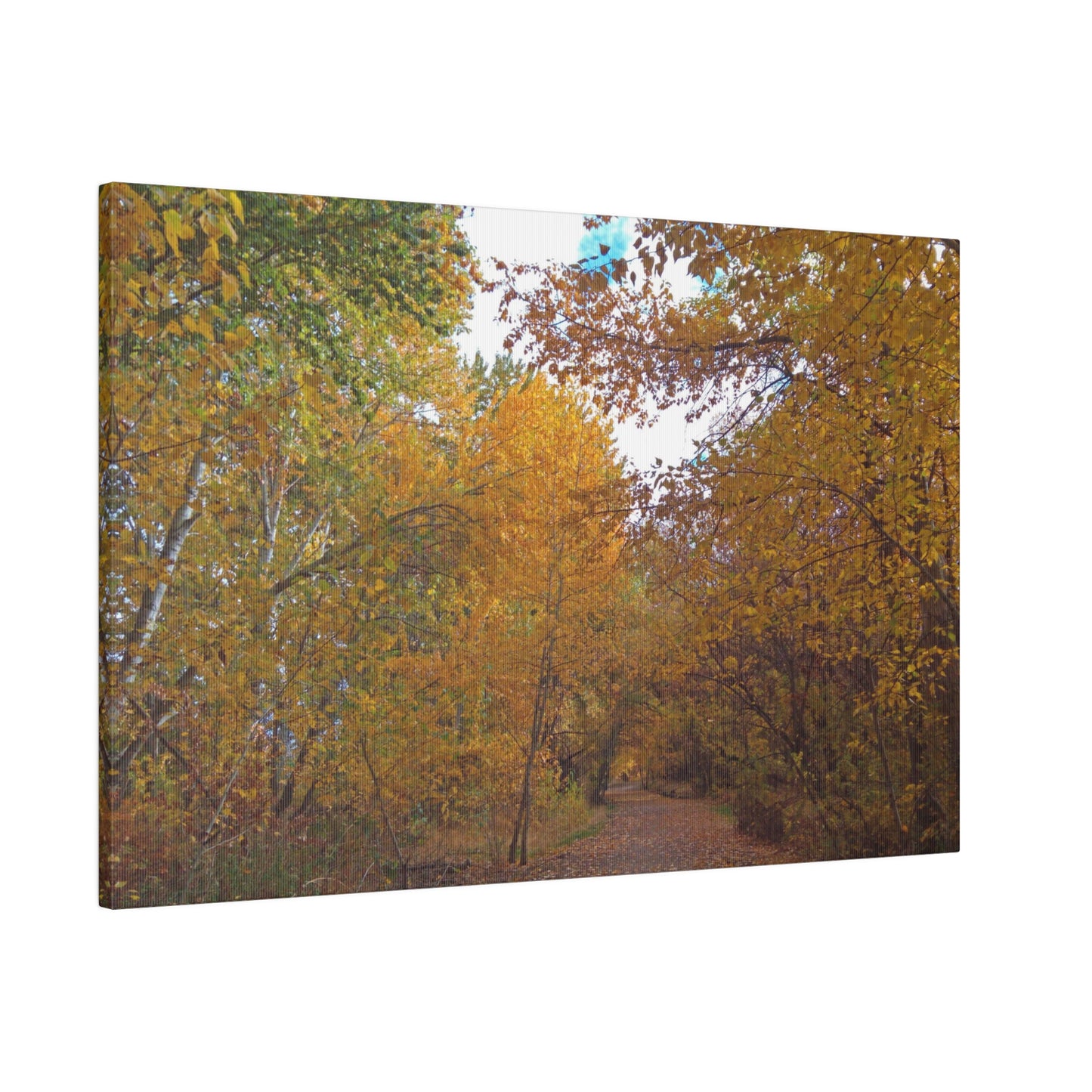 Autumn Lane Matte Canvas
