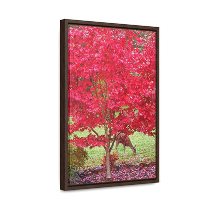 Autumn Deer Gallery Canvas Wraps Framed