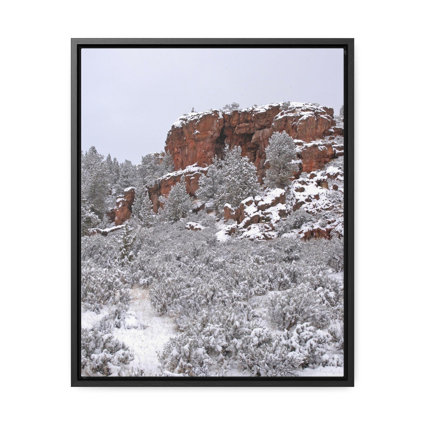 Winter Cliff Gallery Canvas Wraps Framed