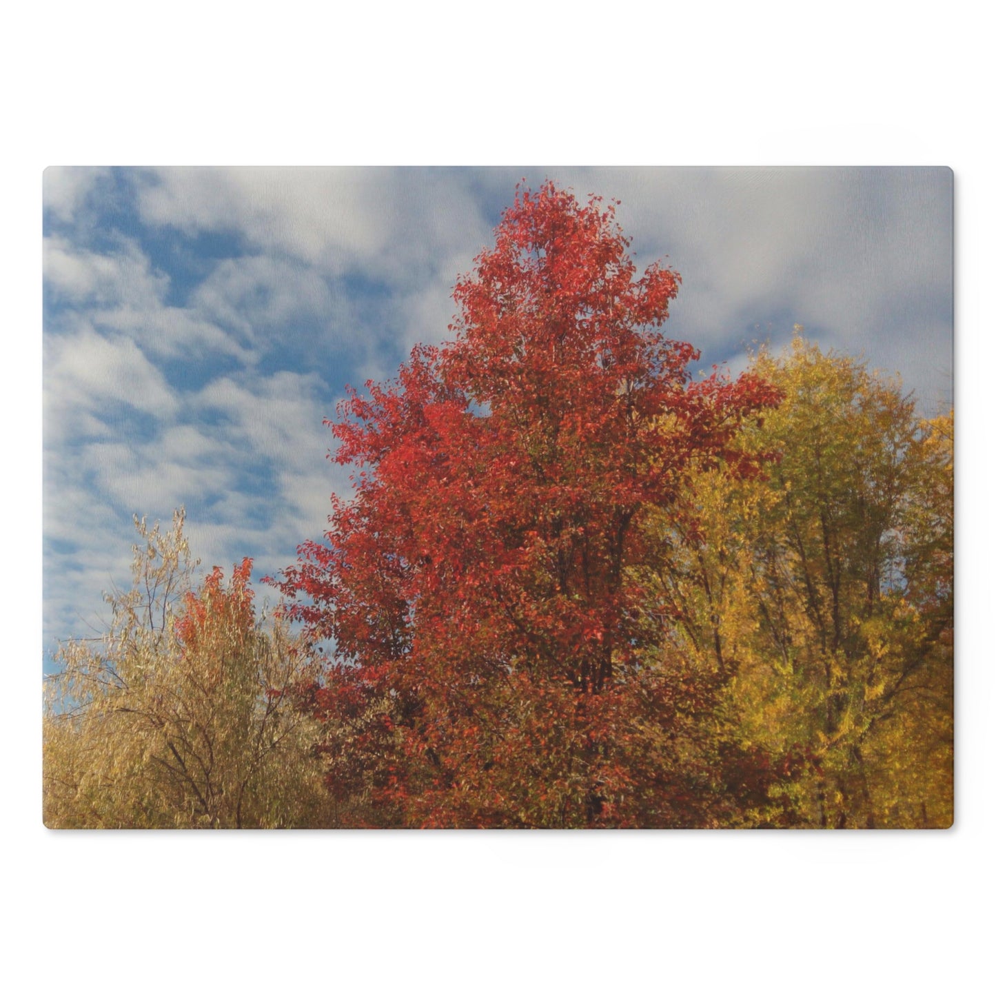 Autumn Sky Cutting Board Dishwasher Safe