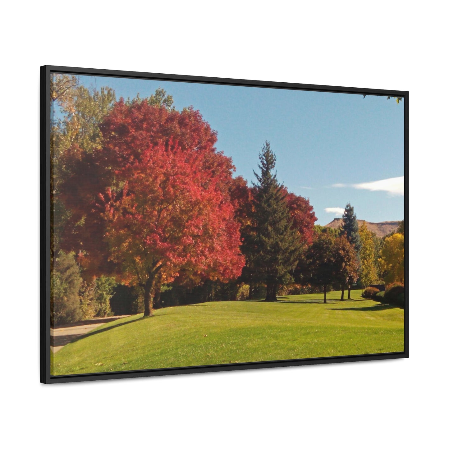Autumn Lawn Gallery Canvas Wraps Framed
