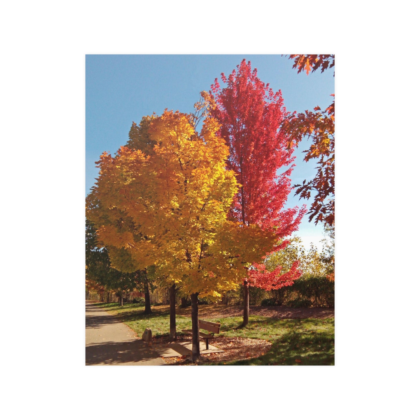 Autumn Bench Satin Posters