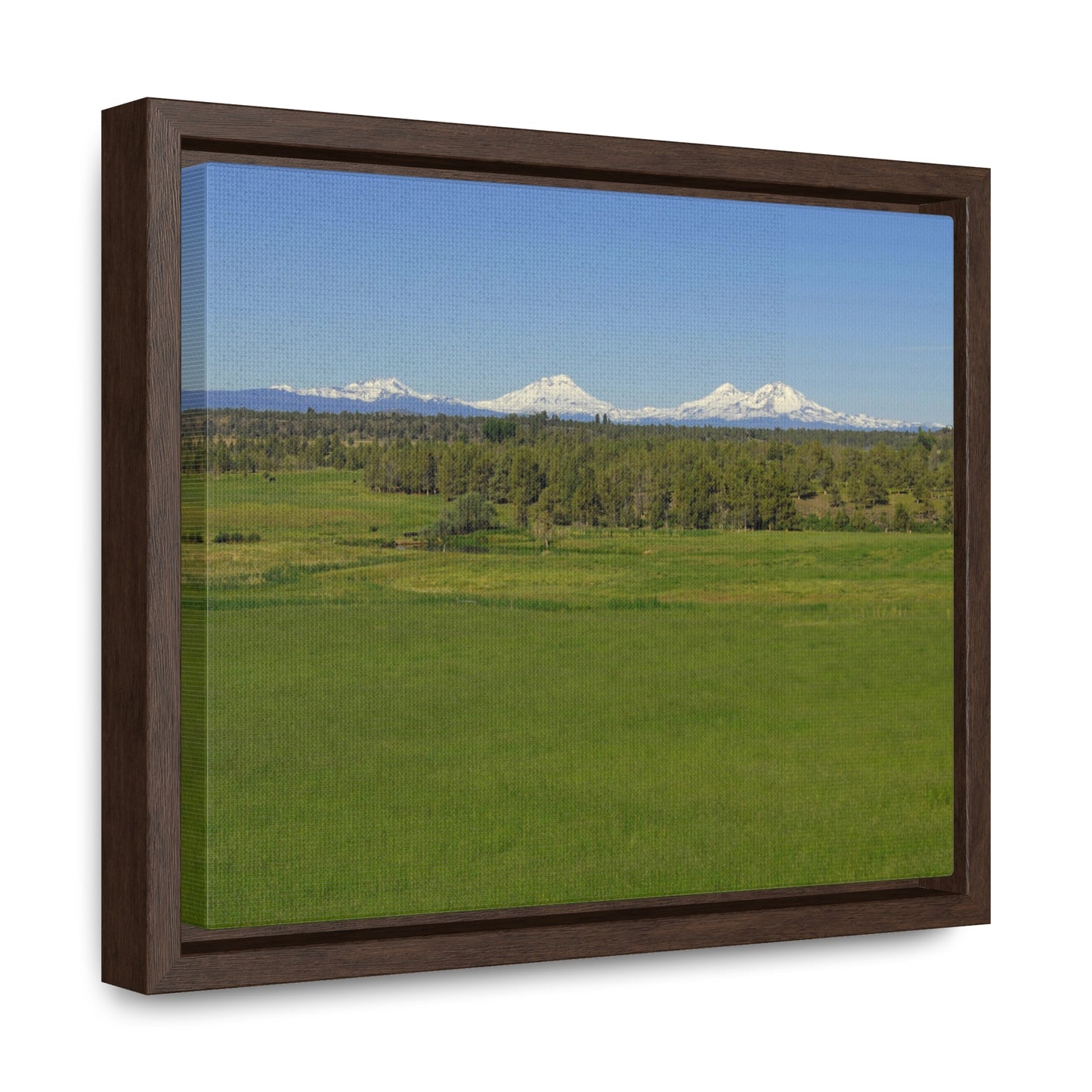 Mountain Meadow Gallery Canvas Wraps Framed