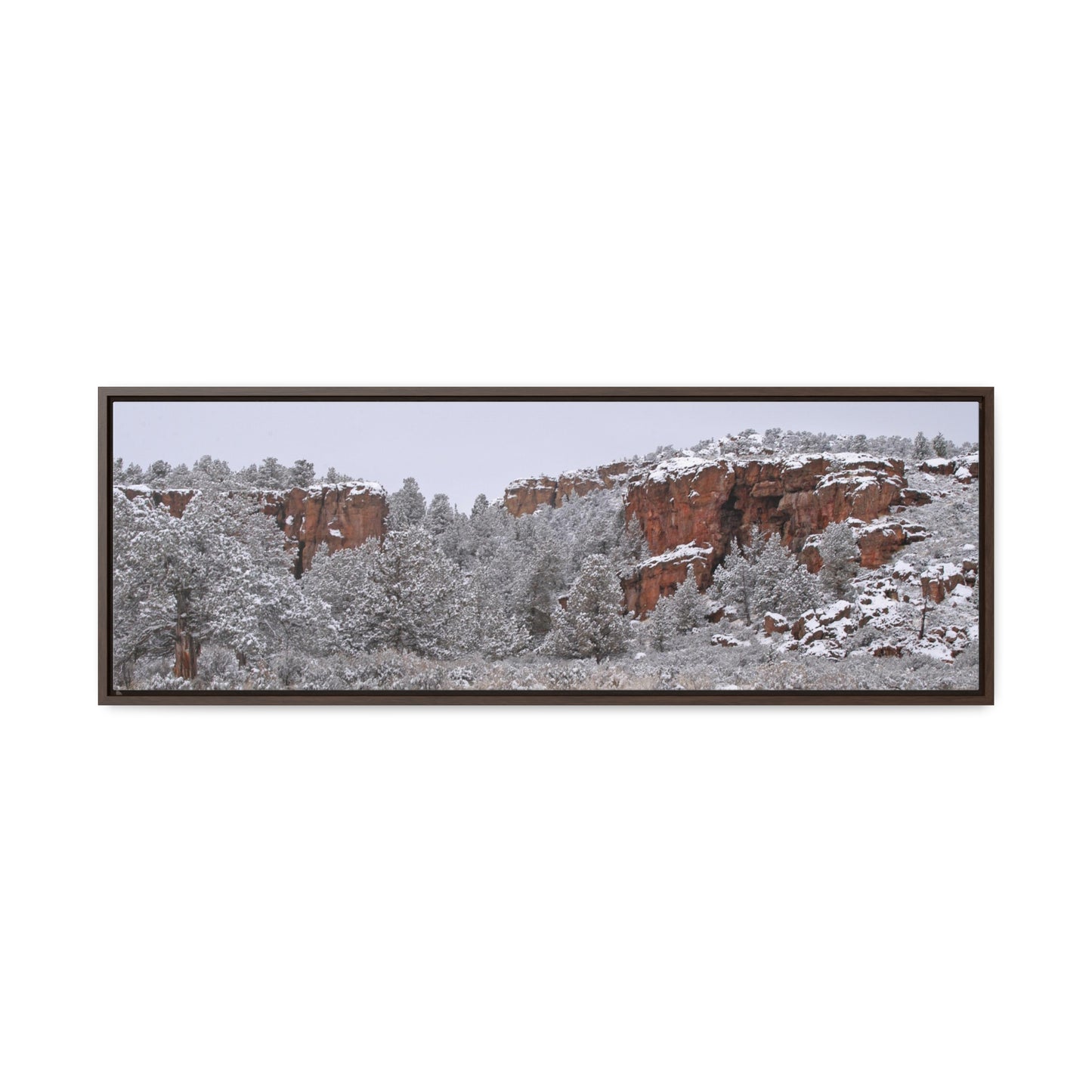 Winter Canyon Gallery Canvas Wraps Framed