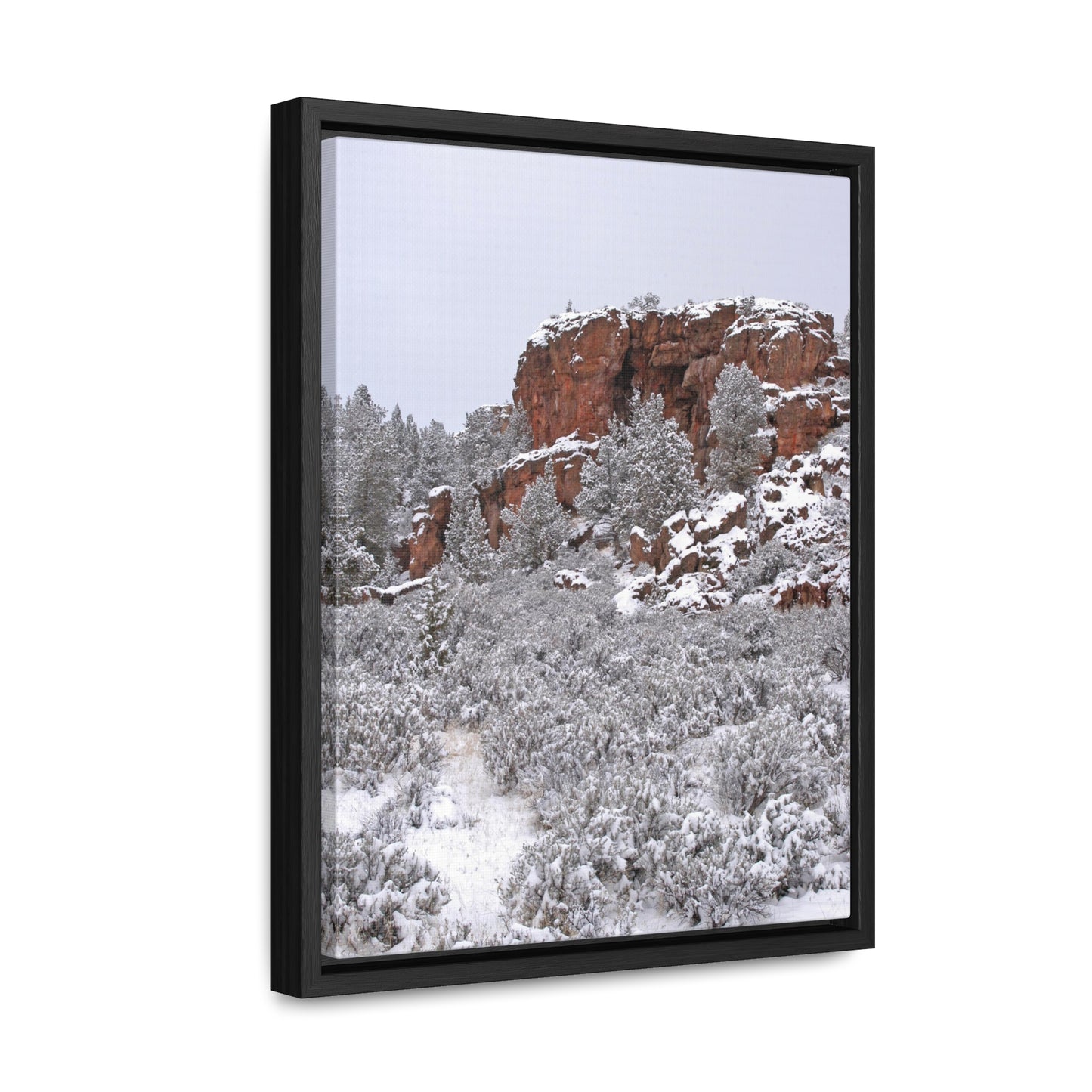 Winter Cliff Gallery Canvas Wraps Framed