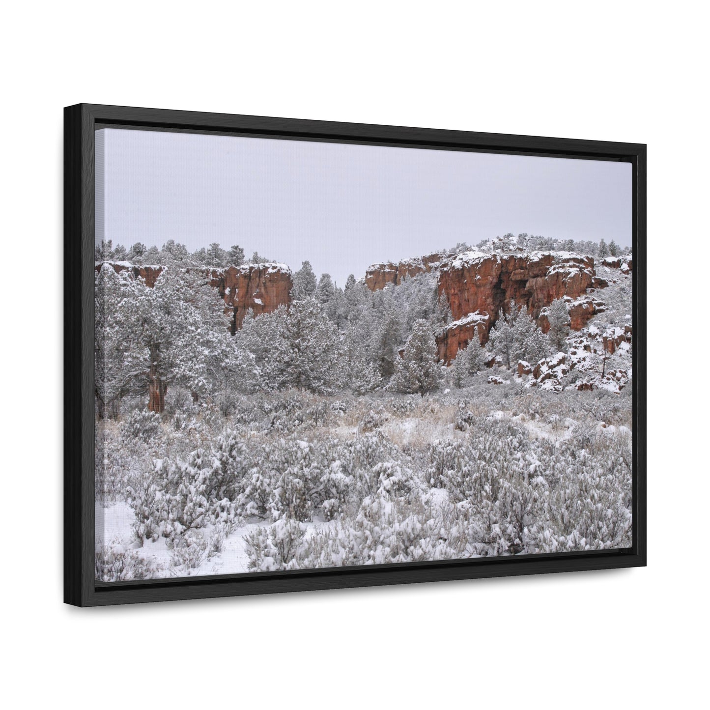 Winter Canyon Gallery Canvas Wraps Framed