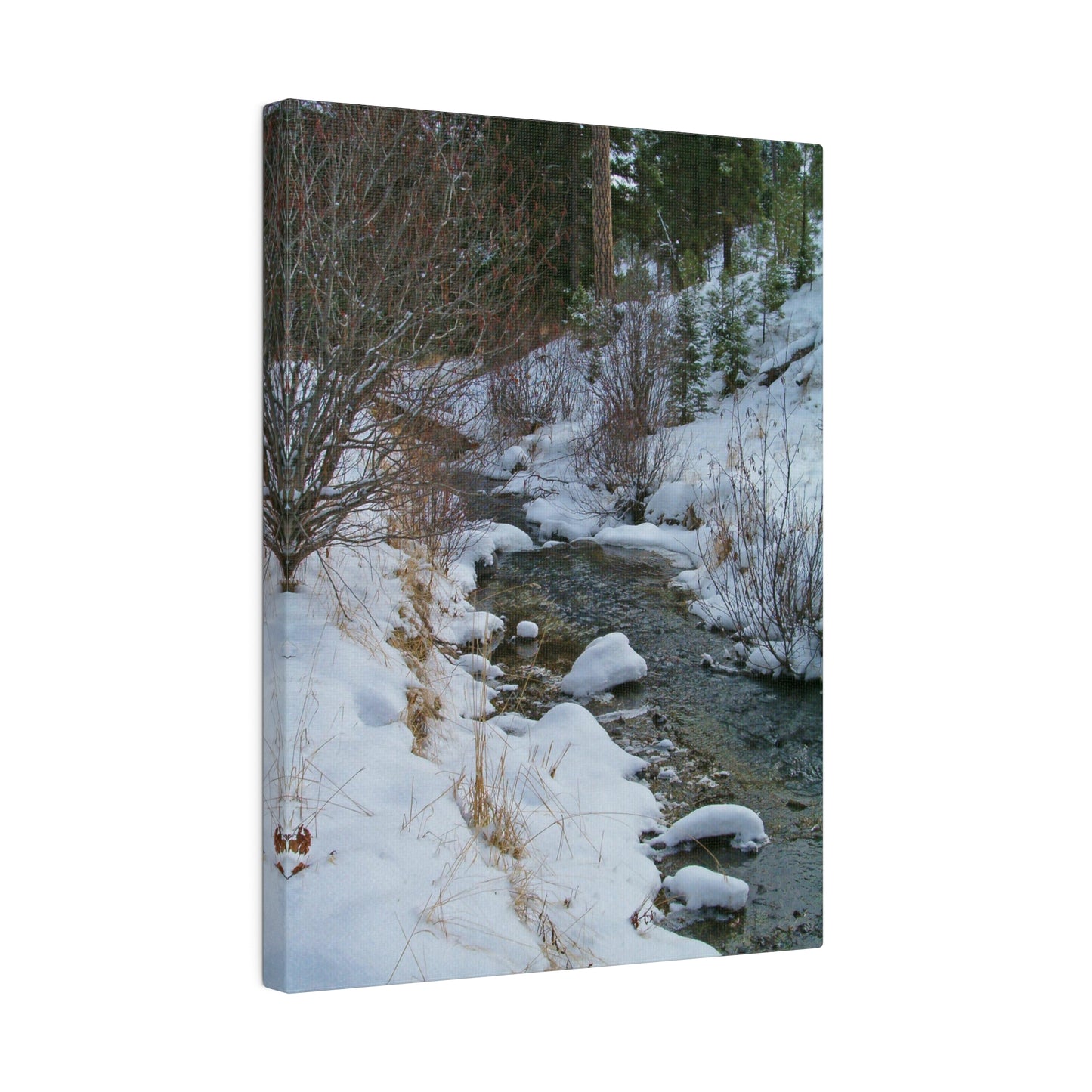 Snowy Creek Matte Canvas