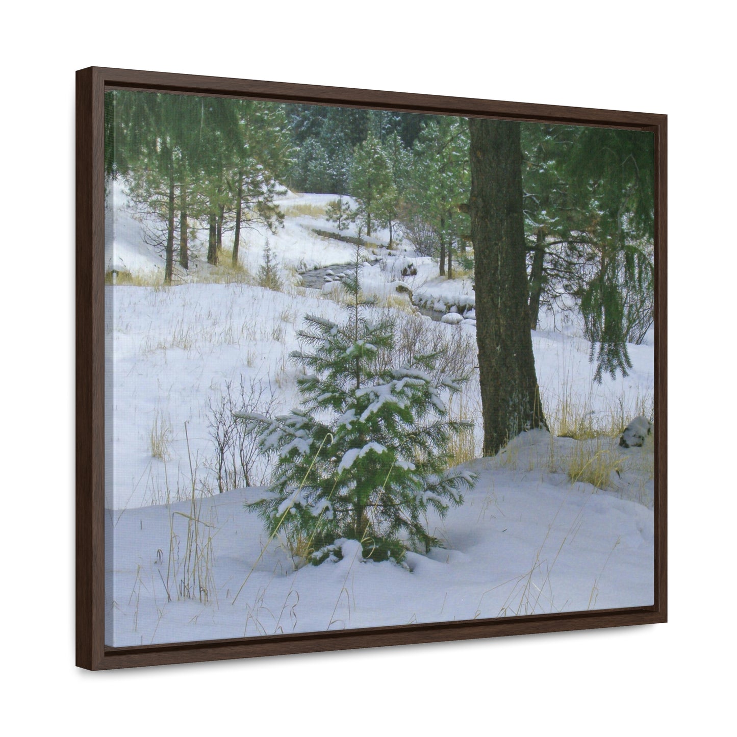 Christmas Tree Creek Gallery Canvas Wraps Framed