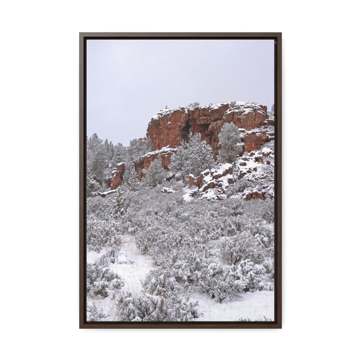 Winter Cliff Gallery Canvas Wraps Framed