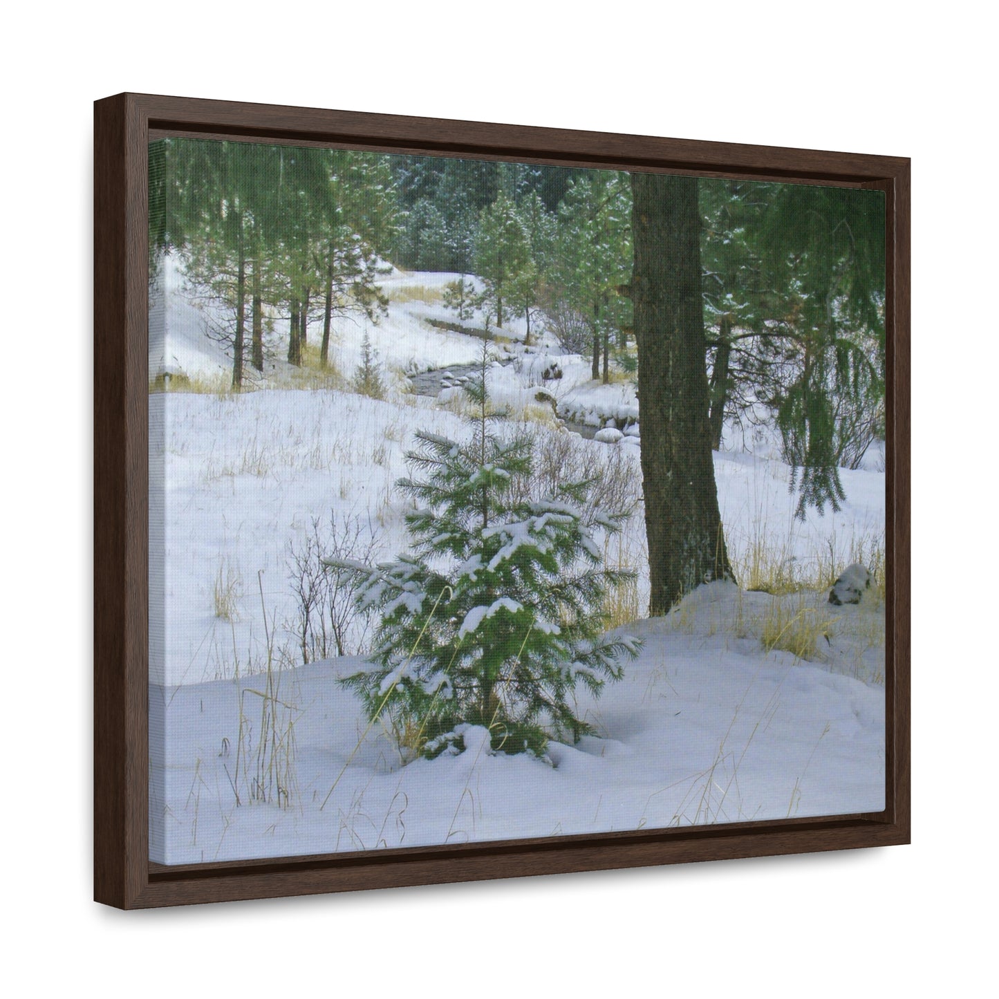 Christmas Tree Creek Gallery Canvas Wraps Framed