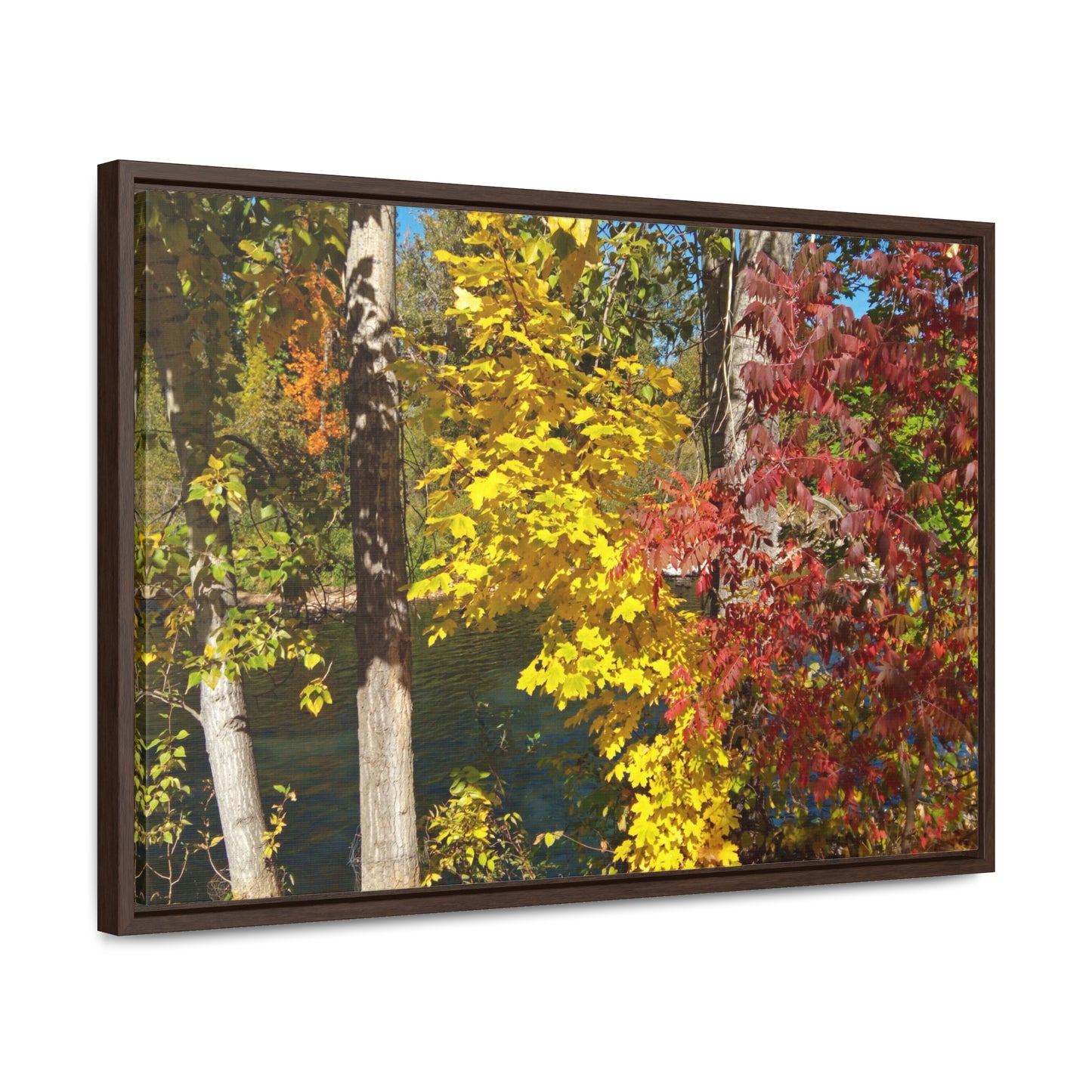 River & Autumn Leaves Gallery Canvas Wraps Framed