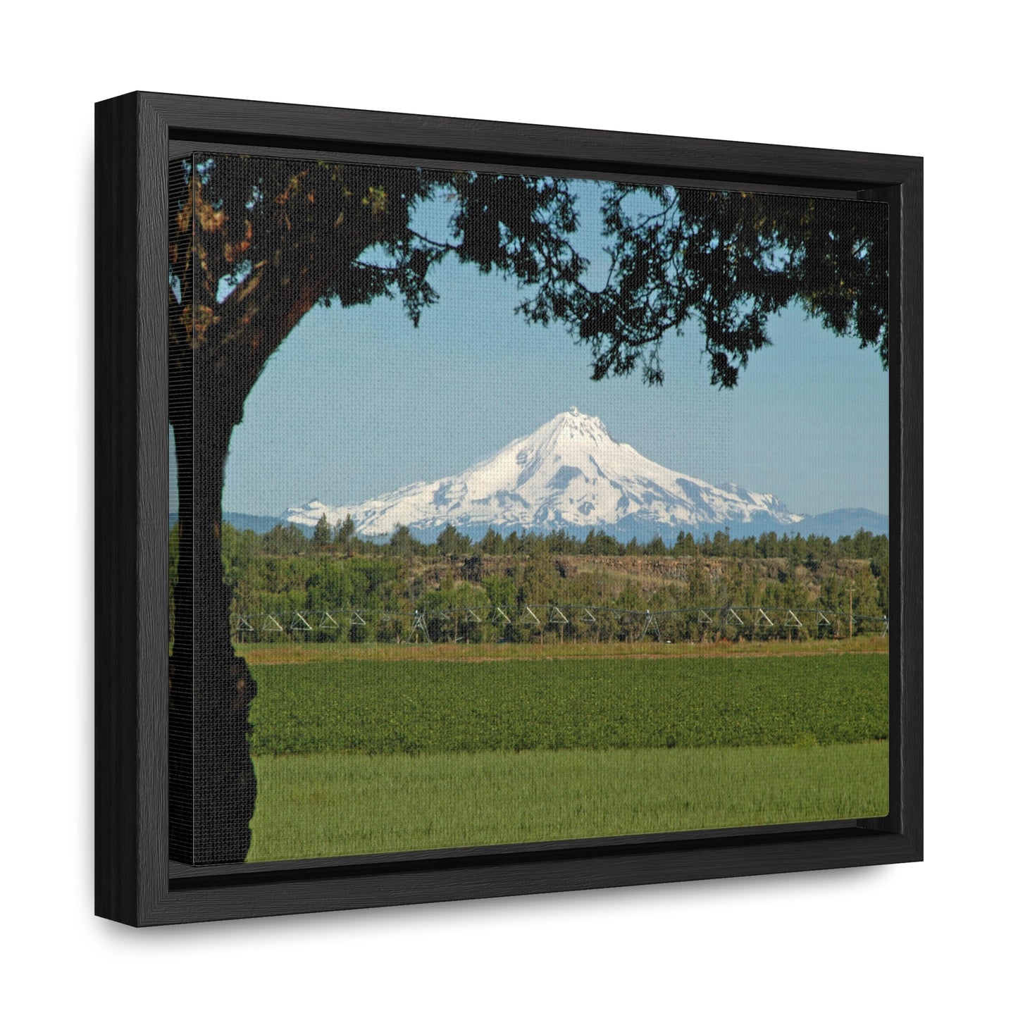 Juniper Framed Mountain Gallery Canvas Wraps Framed