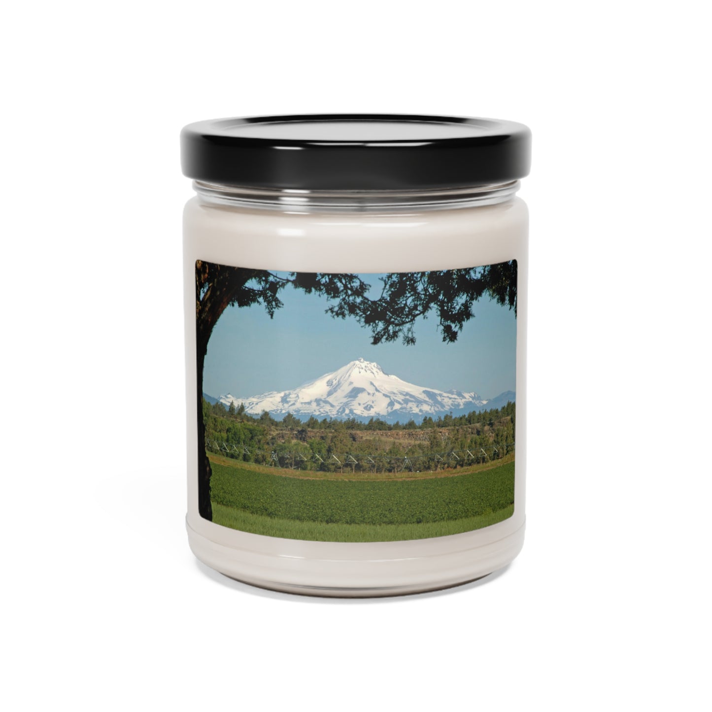 Juniper Framed Mountain Scented Soy Candle, 9oz