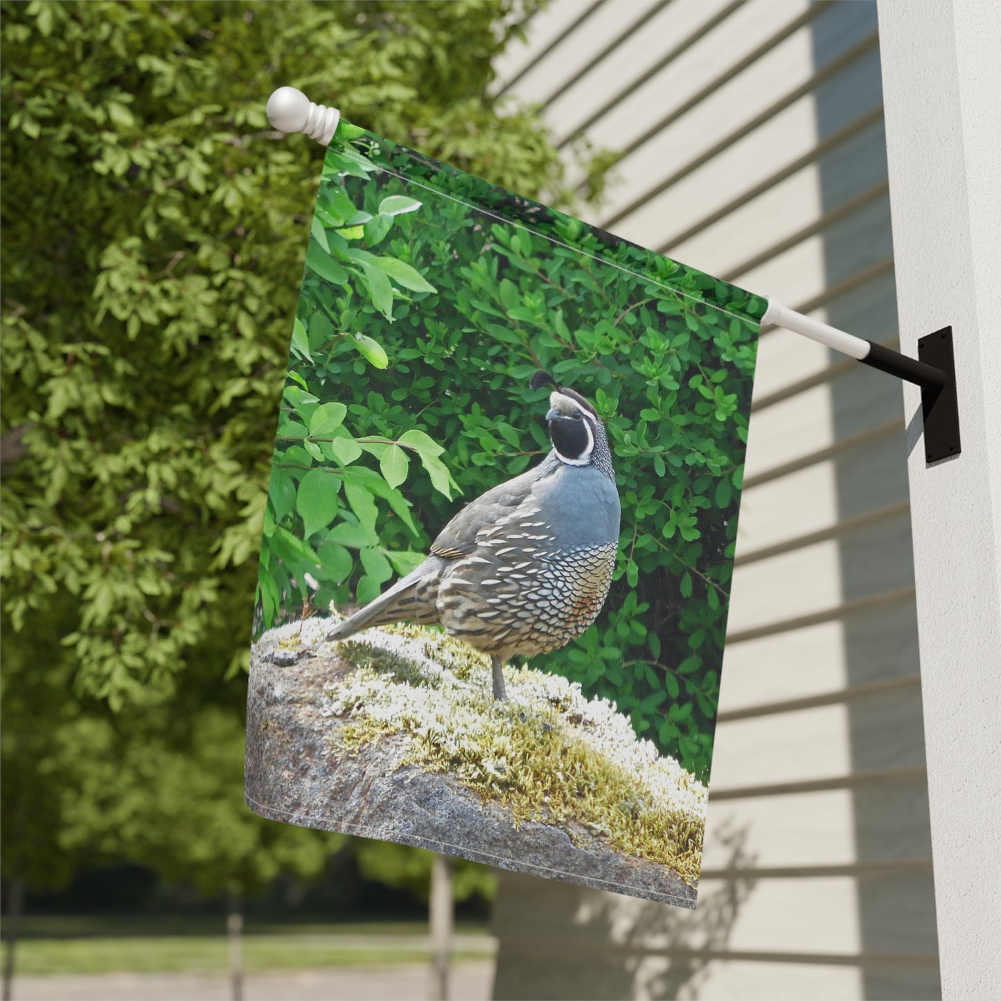 Regal Quail Garden & House Banner