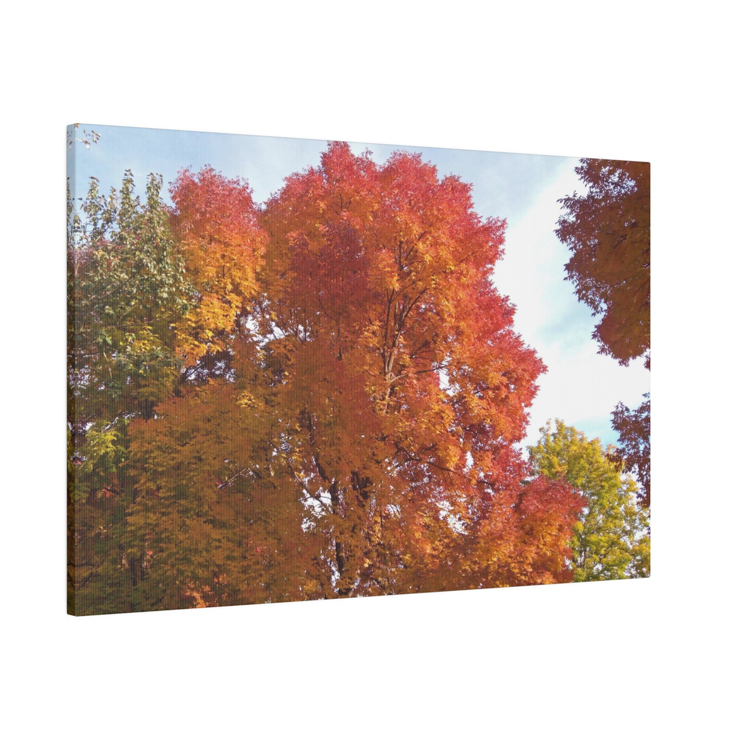 Autumn Radiance Matte Canvas