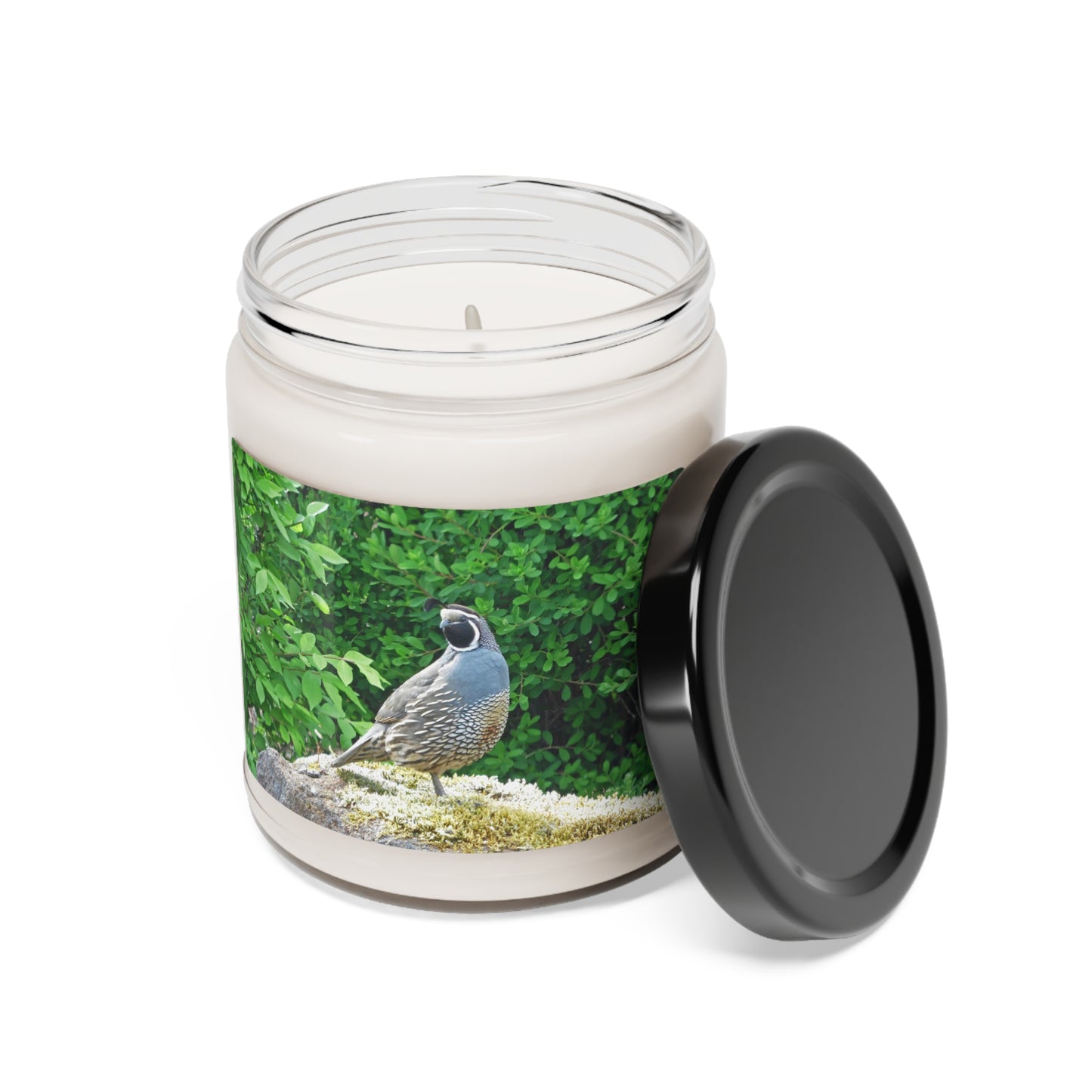 Regal Quail Scented Soy Candle, 9oz