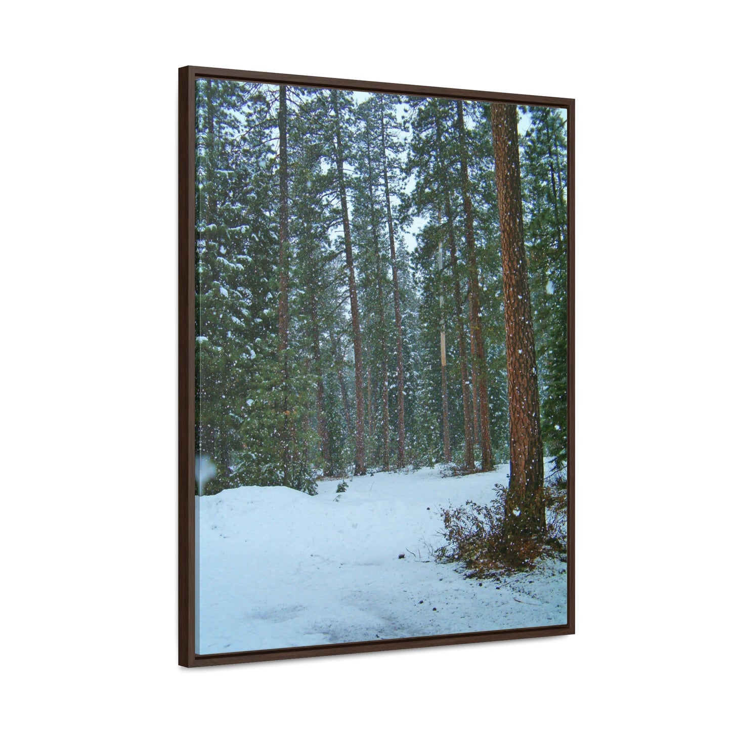 Snowfall Gallery Canvas Wraps Framed