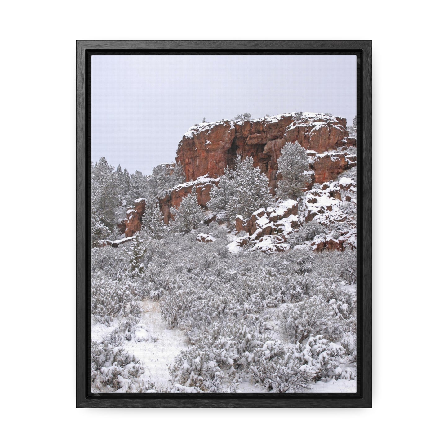 Winter Cliff Gallery Canvas Wraps Framed