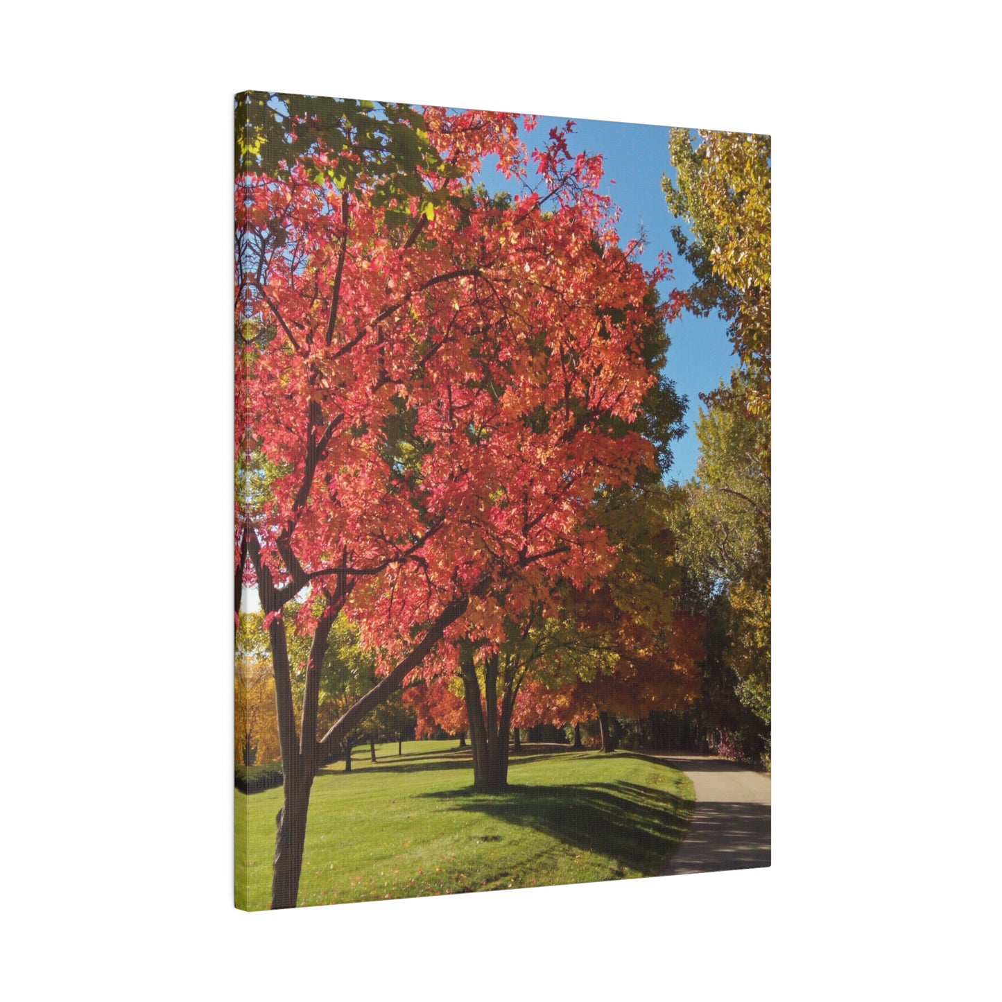 Autumn Glow Matte Canvas