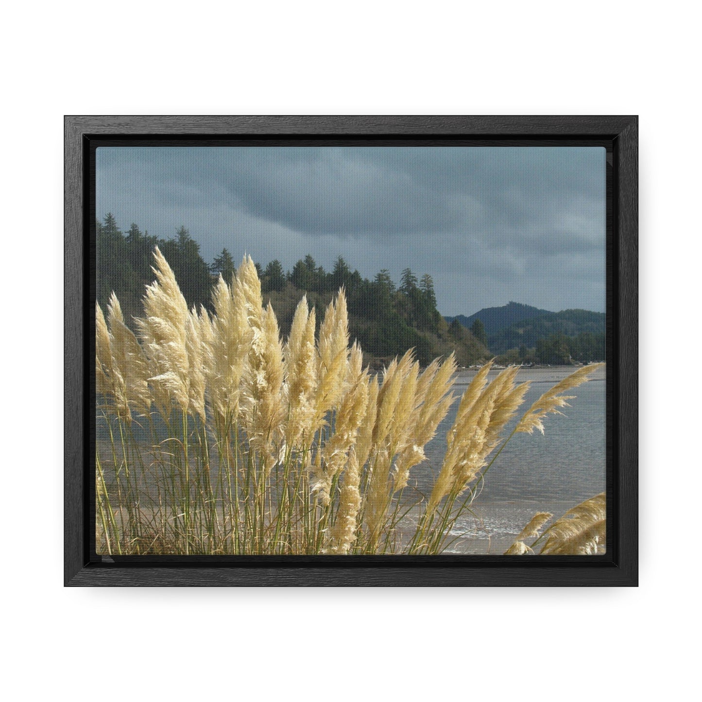 Golden Coastal Pampas Gallery Canvas Wraps Framed