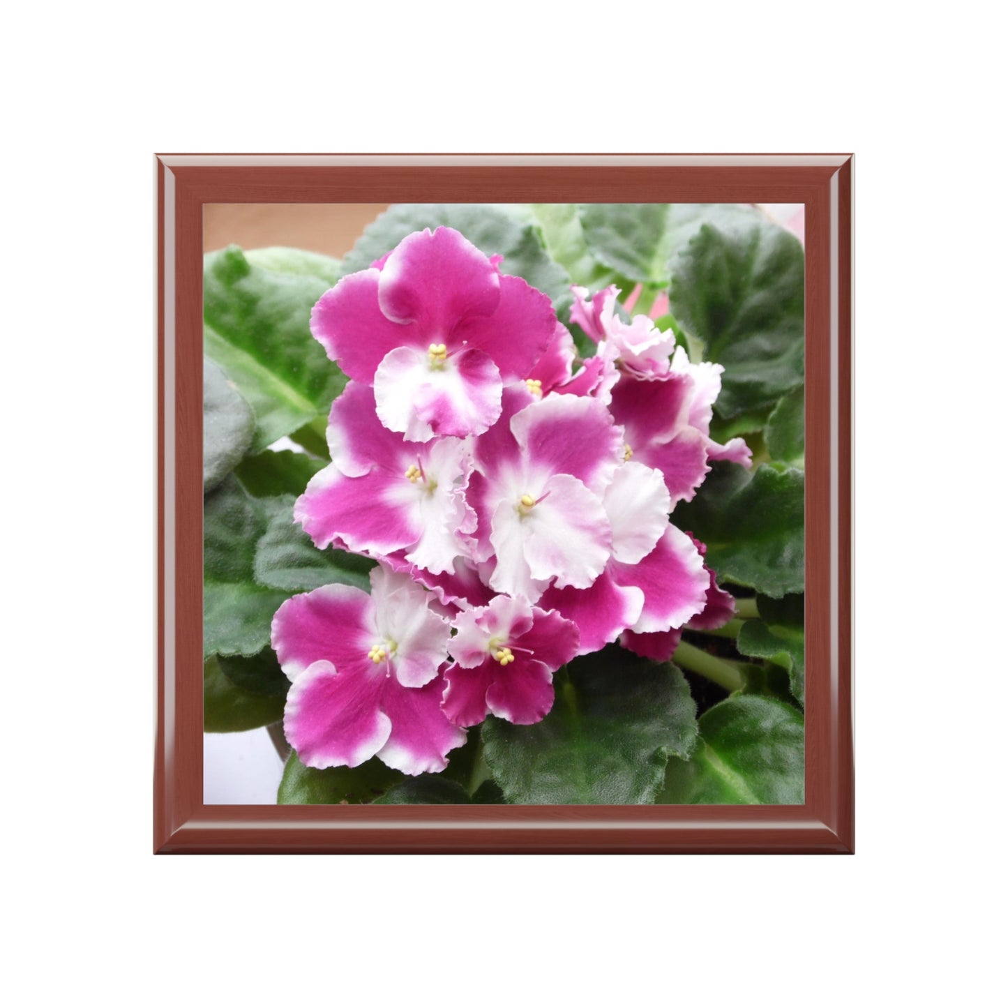 African Violet Jewelry Box ~ 7.24"