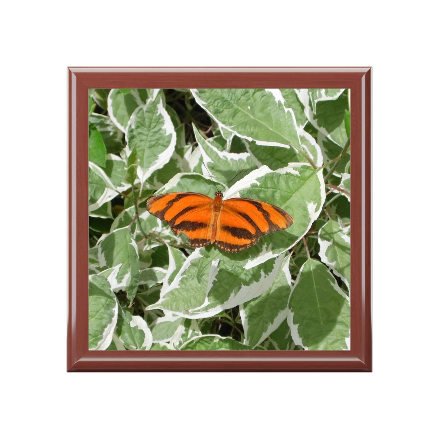 Leaves & Butterfly Jewelry Box ~ 7.24"